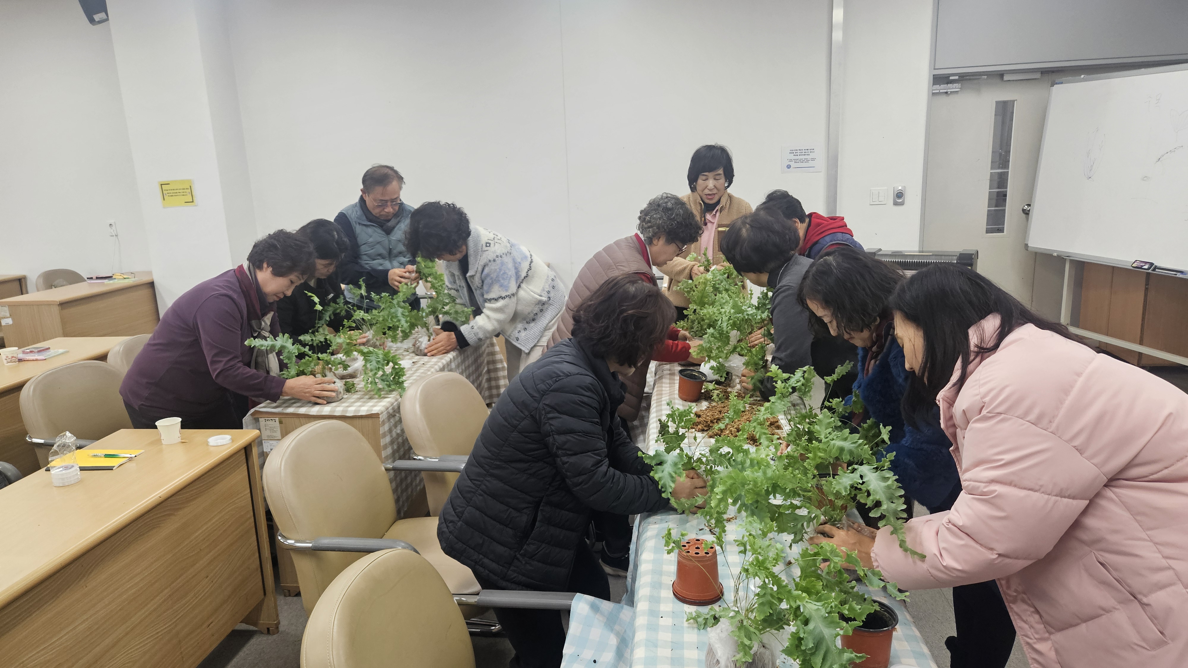 [강좌소개] 📣 청주대학교 K-생활학교 실내식물 코디네이터 아카데미 1번째 파일 - 자세한 내용은 본문 참조