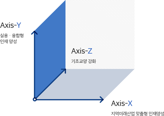 Axis-Y 실용ㆍ융합형 인재 양성/Axis-X 지역미래산업 맞춤형 인재양성 / Axis-Z 기초교양 강화
